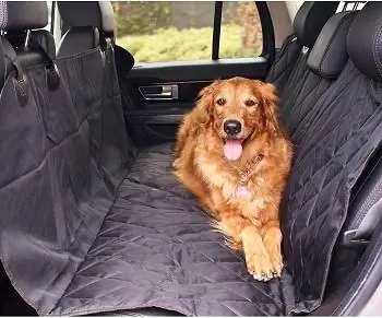 10 mejores fundas para asientos de coche para perros de 2023 – Reseñas & Las mejores selecciones