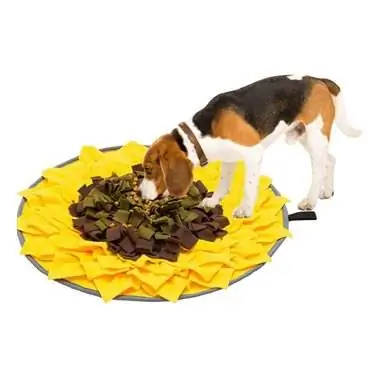 EXPAWLORER DM001 Snuffle Mat