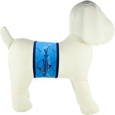 PlayaPup PP6034-M Dog Washable Belly Bands