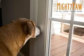 Köpekler İçin Akıllı Zil-Might Paw-Amazon