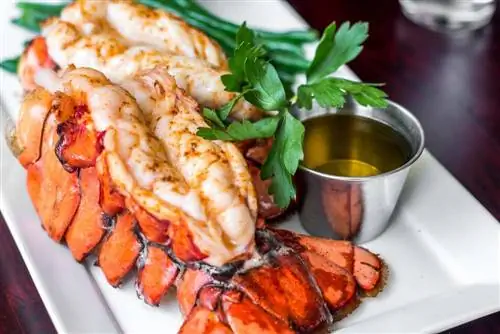 lobster tail