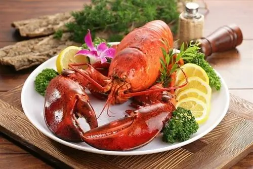 lobster