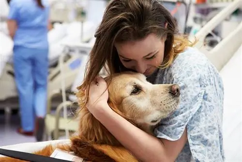 terapi köpeği hastanede genç kadın hastayı ziyaret ediyor