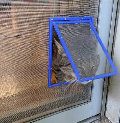 DIY Simple Screen Net Cat Door