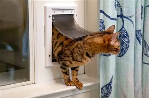 горизонталдуу жылма терезе үчүн DIY Cat Door Insert