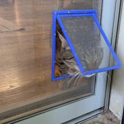 Puerta de gato de bricolaje para ventana