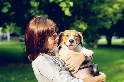 donna che trasporta un adorabile cane