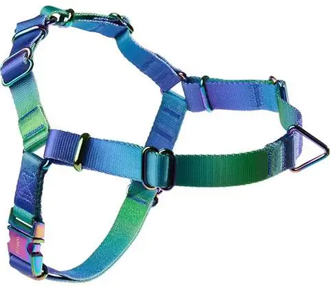 Harness Anjing Frisco Green Ombre Style