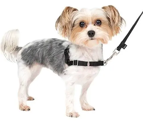 Arnês PetSafe Easy Walk para cães