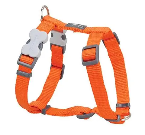 Red Dingo Classic Nylon Back Clip Dog Harness