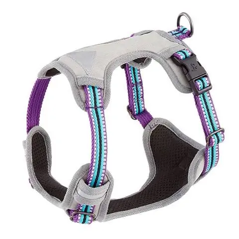 Blueberry Pet 3M Multi-Colored Back Clip Dog Harness