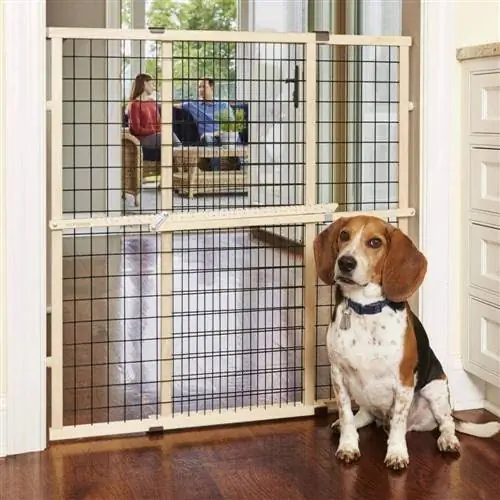 MyPet North States Mesh Gate (1)