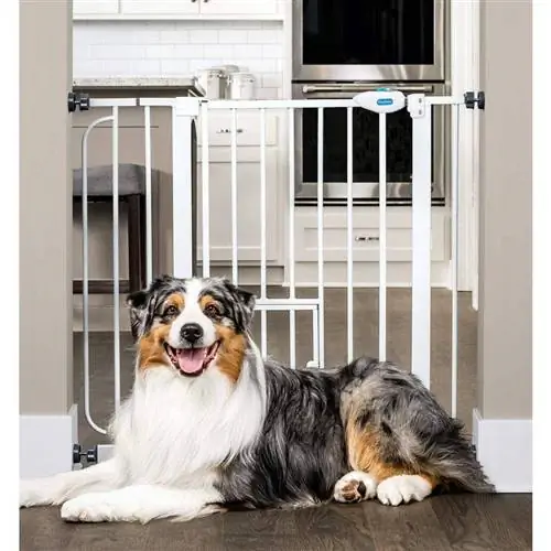 Carlson Extra Wide Pet Gate (1)