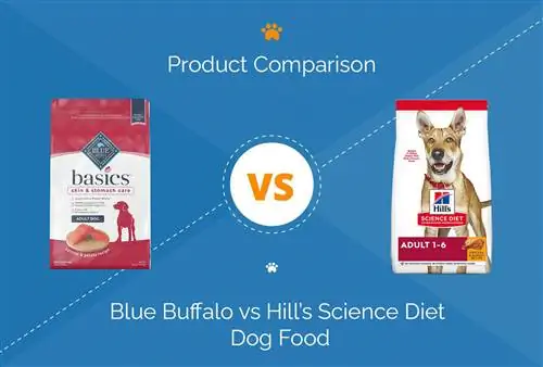 Blue Buffalo vs Hill's Science Diet Dog Food Review 2023: Comparació & Guanyador