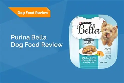 Purina Bella Dog Food Review 2023: herinneringen, voor- en nadelen