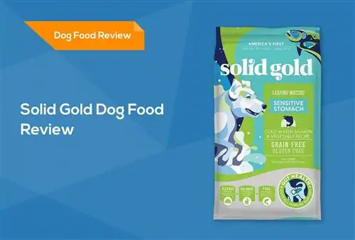 Solid Gold Dog Food Review 2023. Հիշում է, կողմ & Դեմ