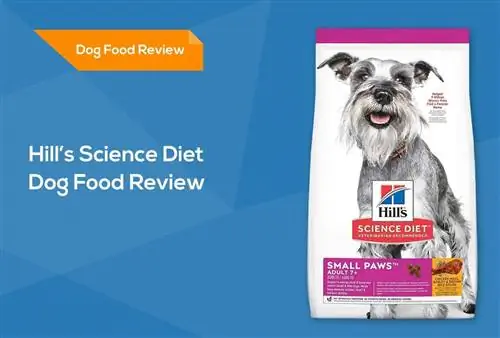 Hill's Science Diet Hundfoderrecension 2023: Återkallelser, fördelar & Nackdelar