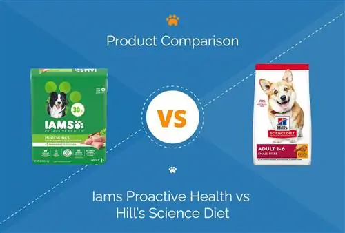 Iams Proactive He alth เทียบกับ Hill’s Science Diet: การเปรียบเทียบปี 2023