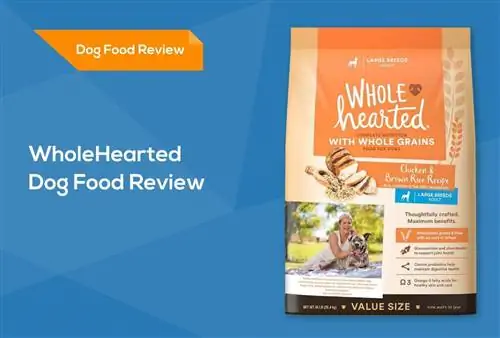 WholeHearted Dog Food Review 2023: Recalls, Pros & Nevýhody