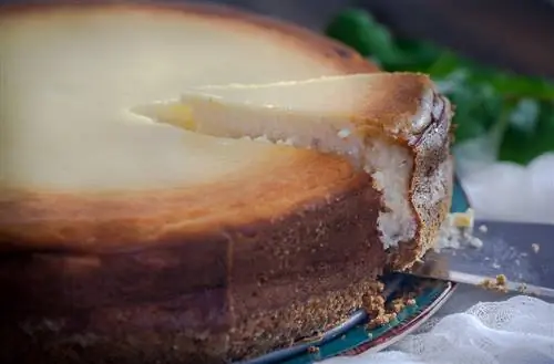 cheesecake