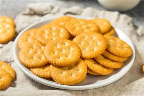 round crackers nyob rau hauv lub phaj dawb