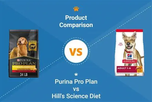 Purina Pro Plan vs Hill's Science Diet Dog Food: Peb 2023 Sib Piv