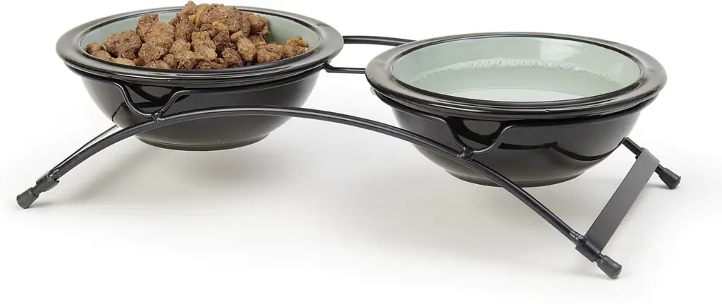 PetRageous Designs Buddy's Best Double Diner Elevated Dog Bowls