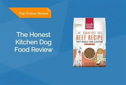 A Honest Kitchen Dog Food Review 2023: Szakértőnk véleménye