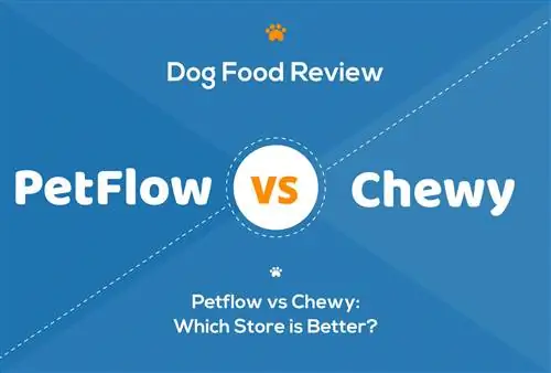 PetFlow vs. Chewy: Welche Zoohandlung ist 2023 besser?