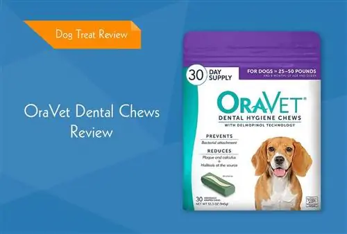 Oravet Dental Chews Review 2023: Rov qab, Pros & Cons