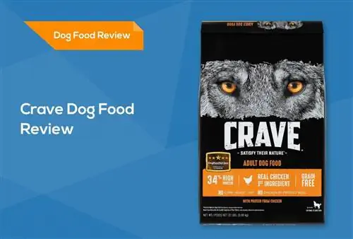 Crave Dog Food Review 2023: Visszahívások, Pros & Hátrányok