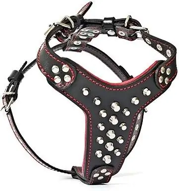 Bestia Rocky Studded