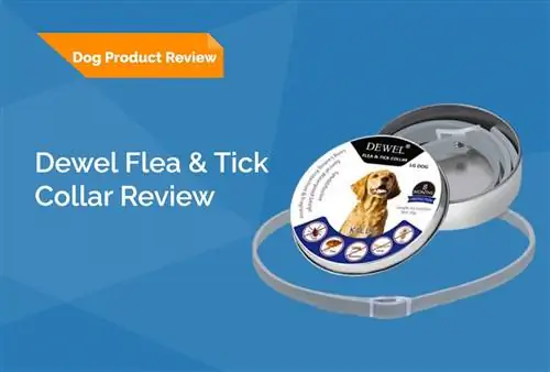 Dewel Flea & Tick Collar Review 2023 - Pros, Cons & Veredicte