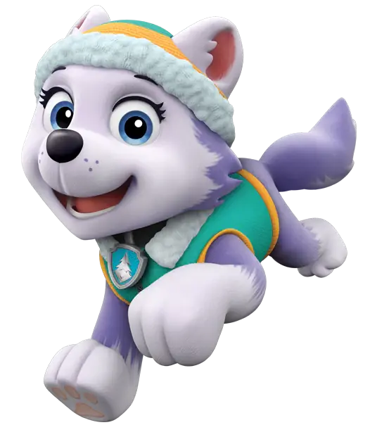 Che razza di cane è l'Everest dei Paw Patrol? La razza sorprendente