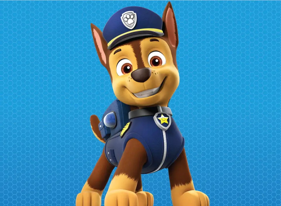 chase - paw patrol