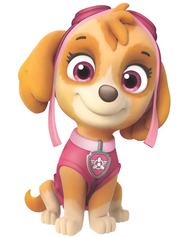 Skye จาก Paw Patrol เป็นสุนัขประเภทไหน? คำตอบสุดเซอร์ไพรส์