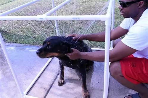 DIY Dog Shower Station από την Instructables