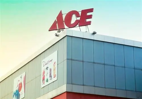 Ace Hardware ammette i cani? Aggiornamento della politica del 2023