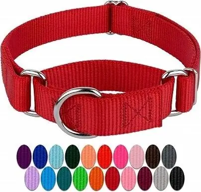 Country Brook Design Dog Collar