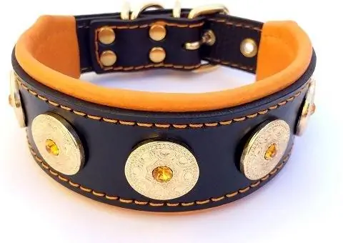 Bestia Bijou Frenchie Dog Collar