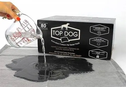 Top Dog Pet et soins à domicile