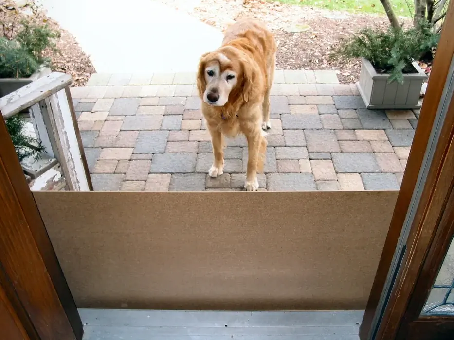 Baby/Pet Gates Pallet Wood-ից, Instructibles Workshop-ի կողմից