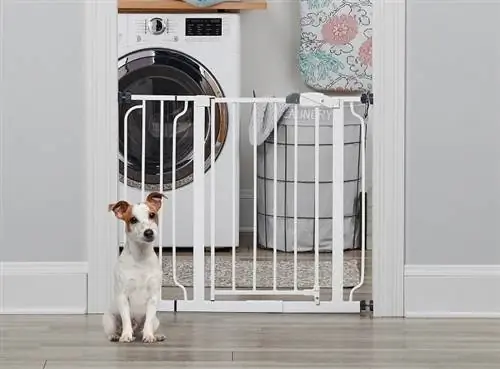 ዛሬ መገንባት የምትችላቸው 26 DIY Dog Gate Plans (በፎቶዎች)