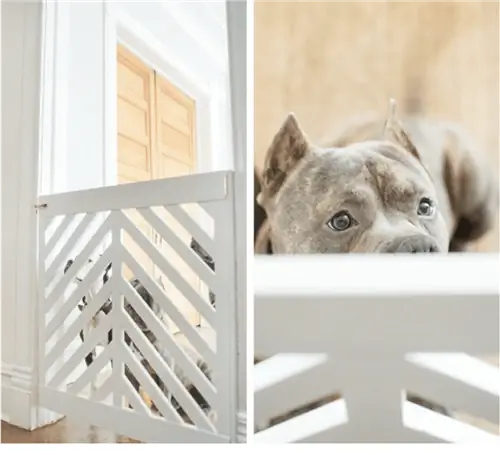 Doggie Gate DIY, por Yellow Brick Home