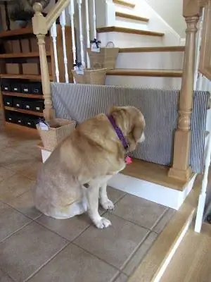 PVC Dog Gate, by Sew Many Ways