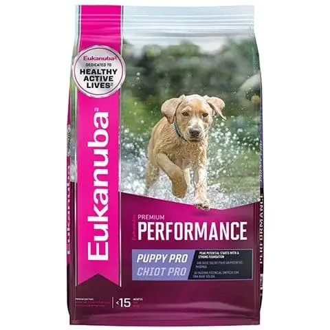 Eukanuba Premium Performance Pro Puppy อาหารสุนัขแบบแห้ง