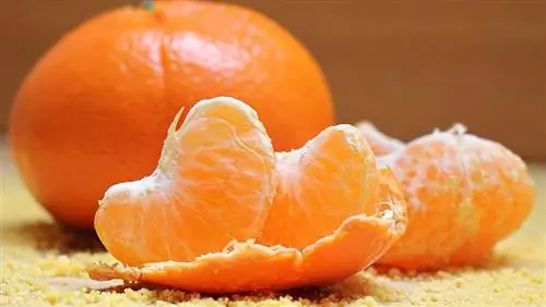 mandarin orange