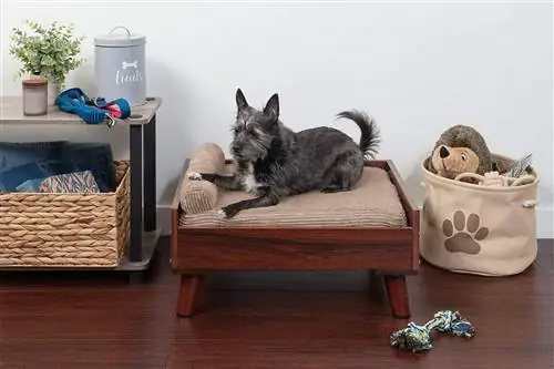 Pet Dog Bed Frame-Furhaven-Amazon