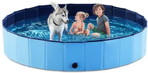 Sammenfoldelig Hundeseng Bath Pool-Jasonwell-Amazon