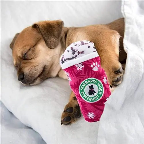 Starbarks Coffee Plush Hondenspeelgoed-Haute Diggity-Amazon